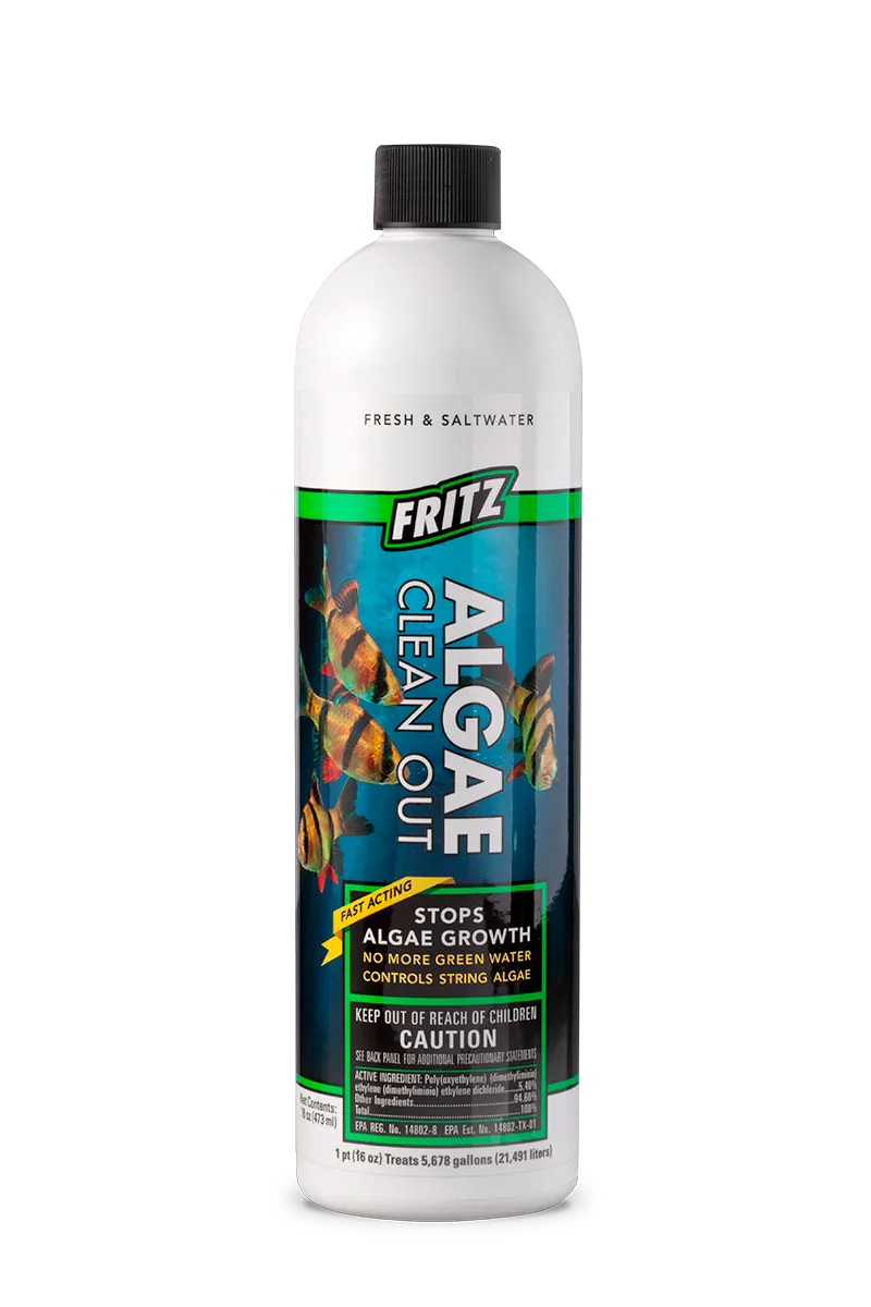 Fritz Algae Clean Out