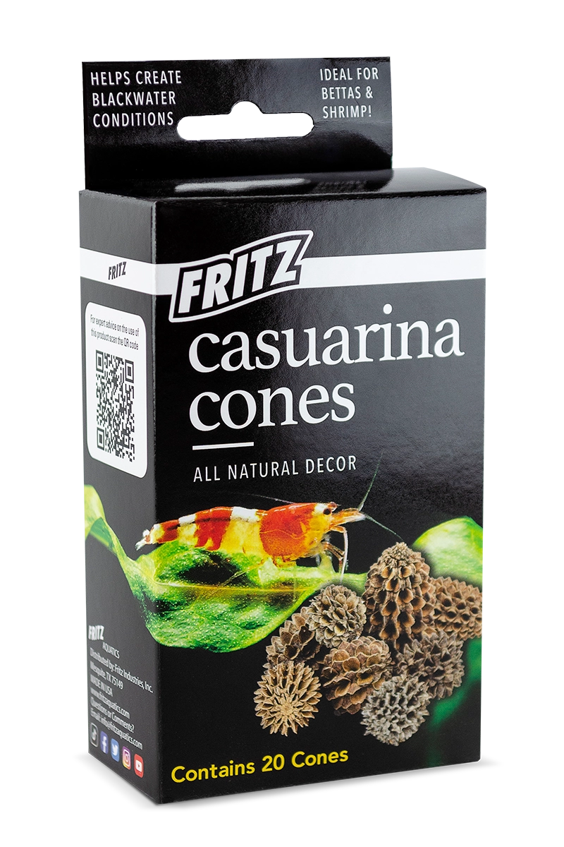 Fritz Casuarina Cones 20pk