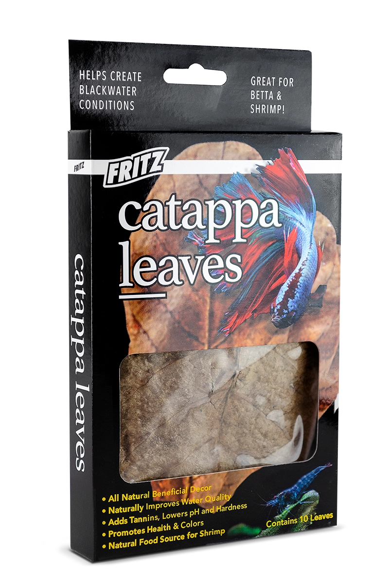 Fritz Catappa Leaves Botanicals