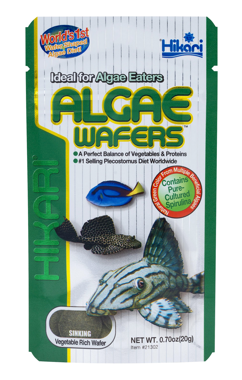 Hikari Algae Wafers Rapidly Sinking Wafer Fish Food