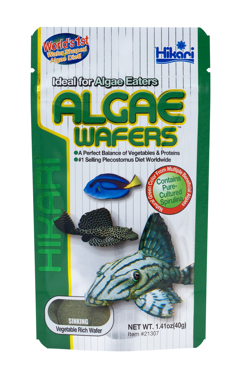Hikari Algae Wafers Rapidly Sinking Wafer Fish Food