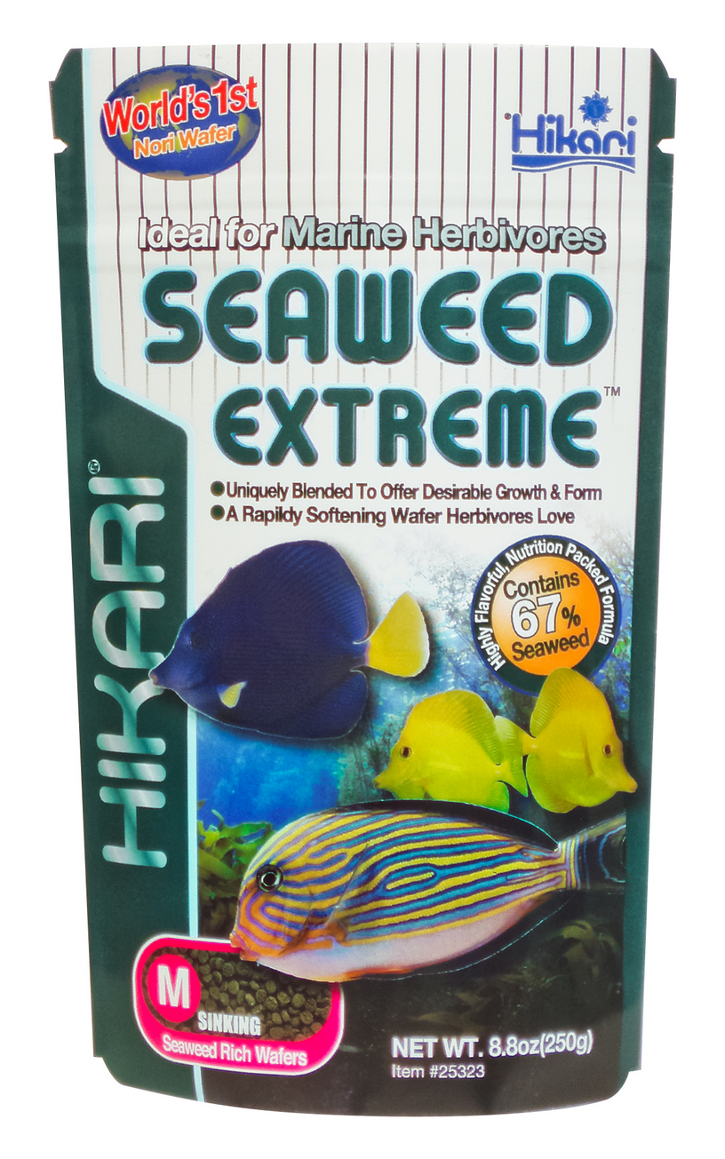Hikari Seaweed Extreme Medium