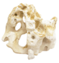 Hikari Texas Holey Rock Resin Ornaments