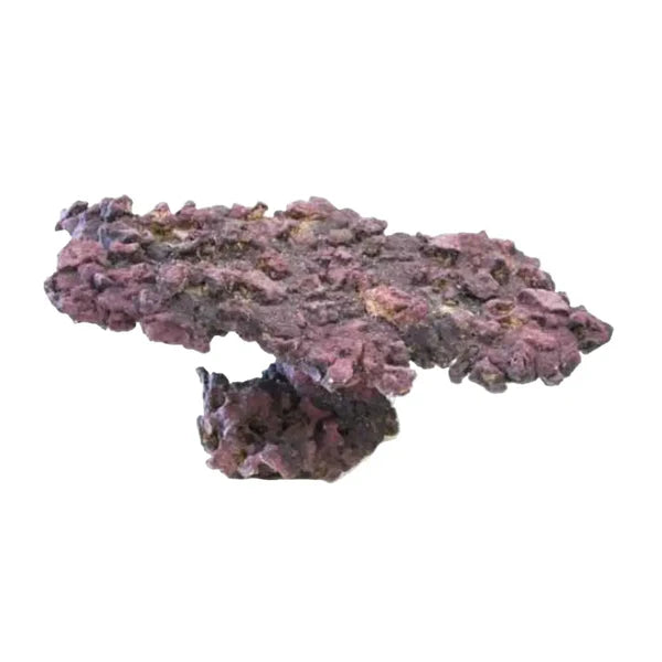 CaribSea LifeRock Table Rock approx 18"x12"x5"