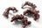 CaribSea Life Rock Nano Arch (8") 4 pk